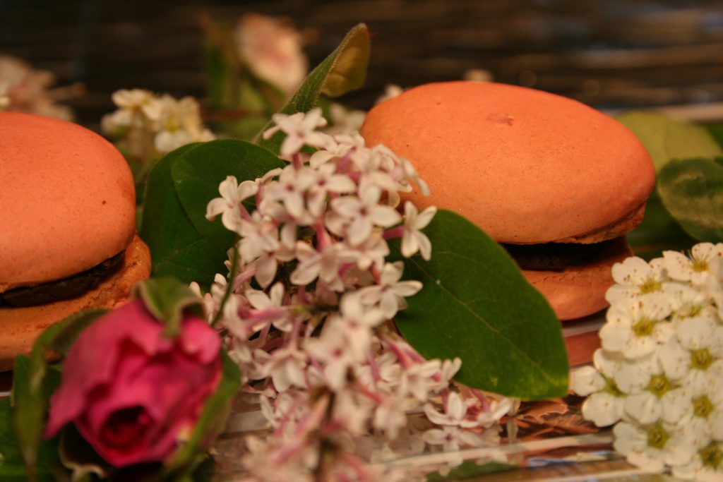 Macarons mit Himbeer-Ganache- und Schoko-Füllung - Dailyvegan