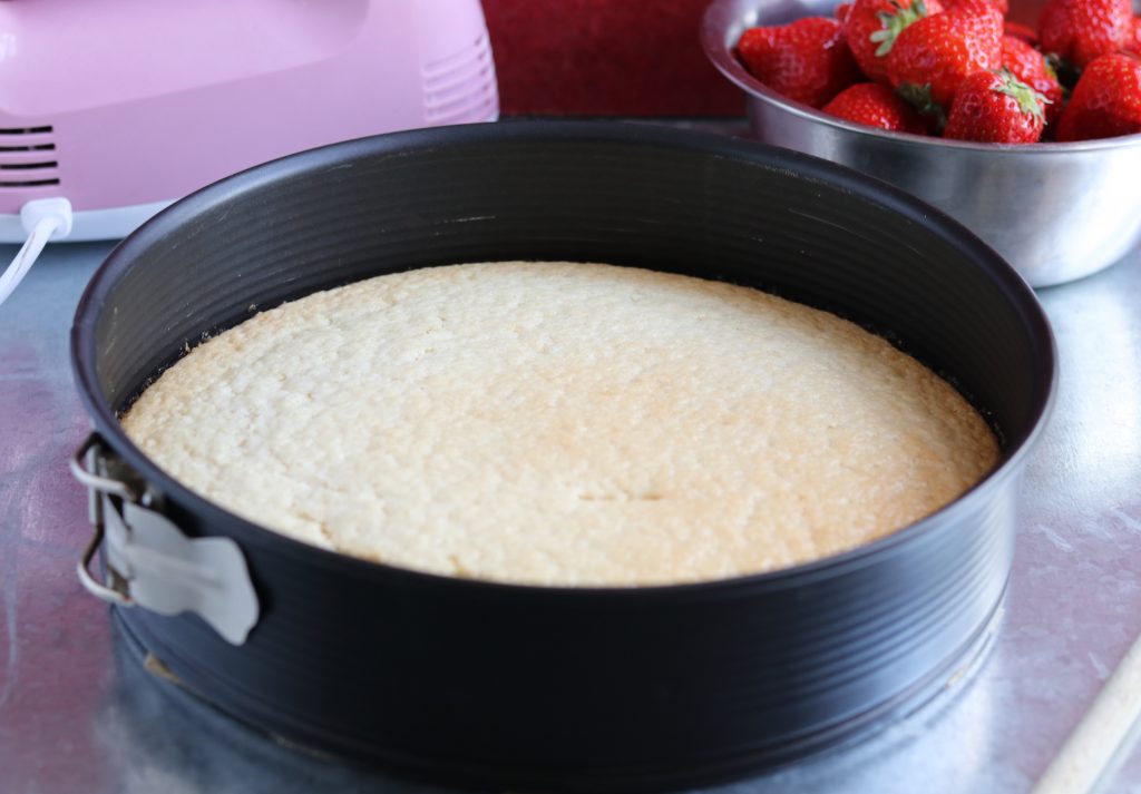 Veganer Biskuitboden, fertig gebacken in einer Springform. Im HIntergrund: eine Schale Erdbeeren und ein rosanes Handrühgerät.