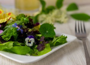 Auf selbst geerntetem Salat