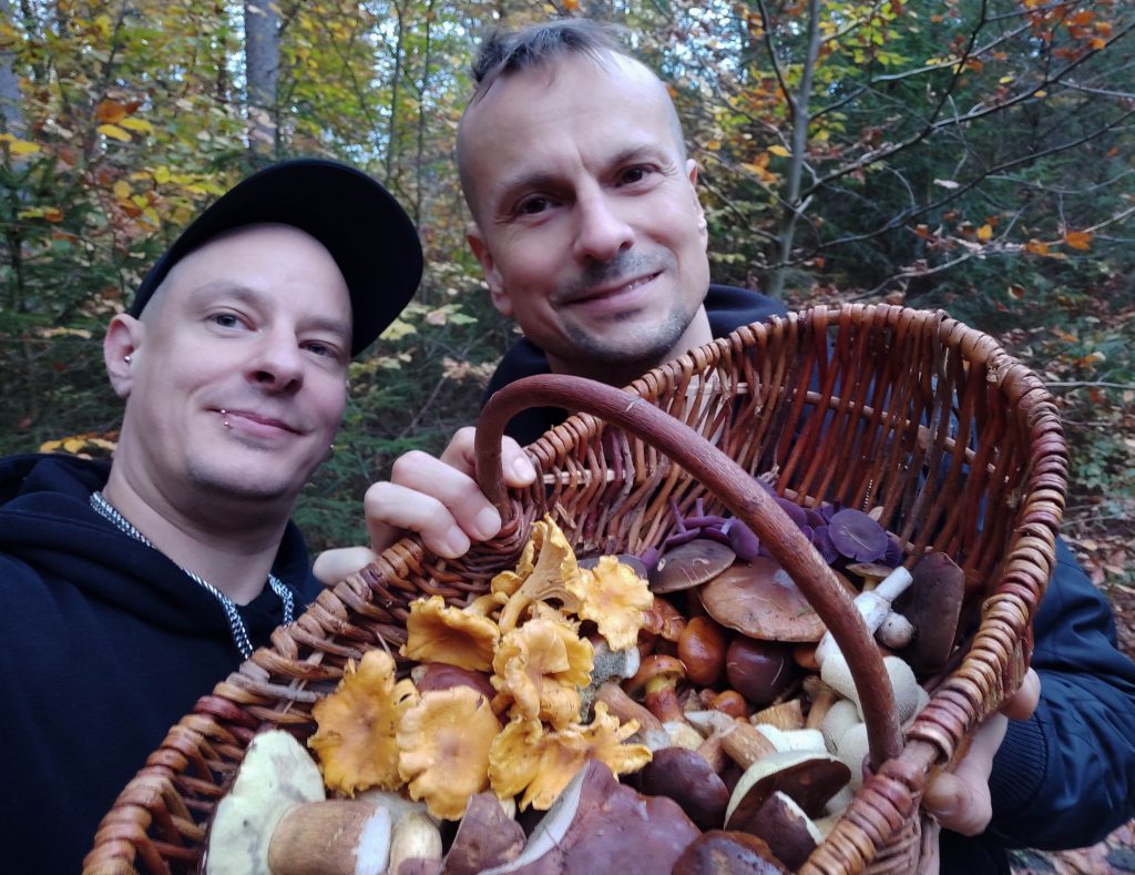 Erfolgreiches Pilze Sammeln im herbstlichen Wald