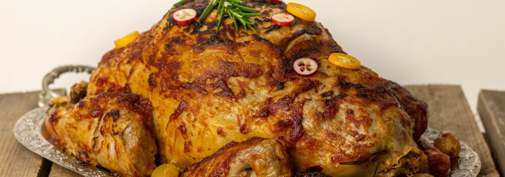 Gans ohne Tier - meine vegane Weihnachtsgans fürs Fernsehen