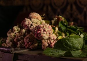 Frisch vom Feld: essbare Rhabarberblüten