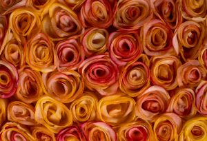 Beautiful apples roses that look stunningly real