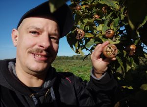 Mispeln ernten im Sonnenschein (zu sehen Sean von Daily Vegan)