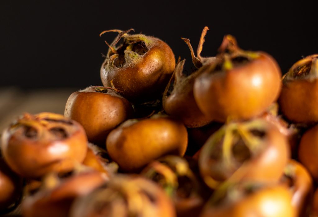 Frisch geerntete Mispeln.