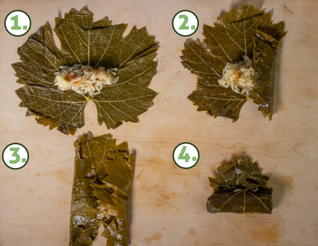 Gefüllte Weinblätter: Anleitung zum Rollen in 4 Schritten