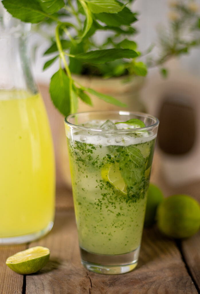 Selbstgemachte Limetten-Minz-Limonade nach Daily Vegan