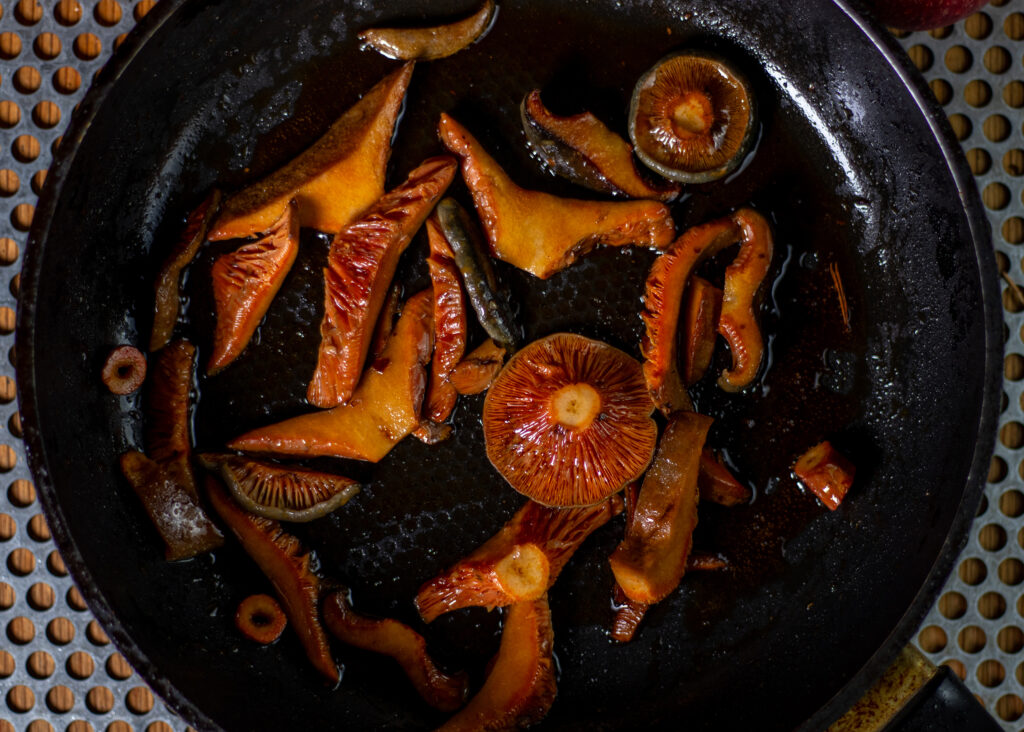 Gebratene Reizker in der Pfanne. Blutreizker haben eine schöne Farbe beim Braten.