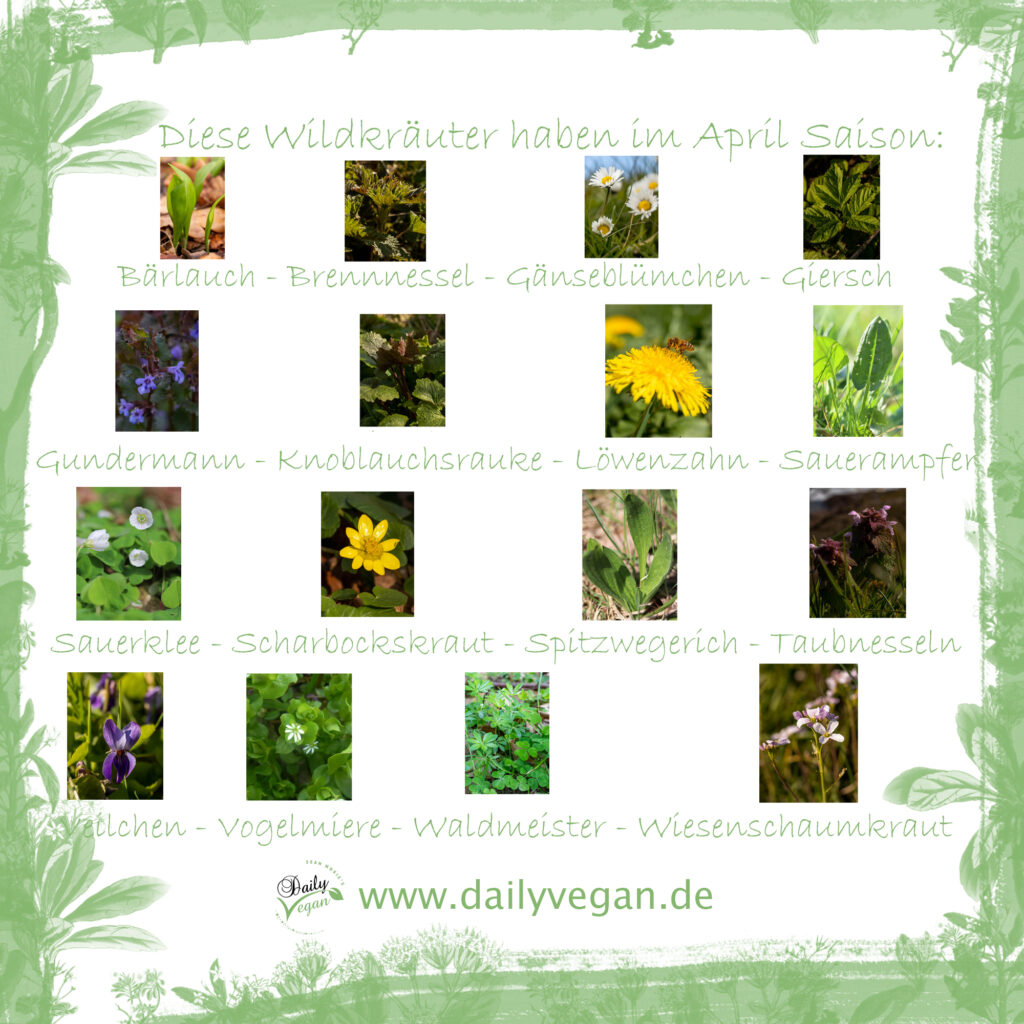 Saisonkalender: saisonale Wildkräuter im April