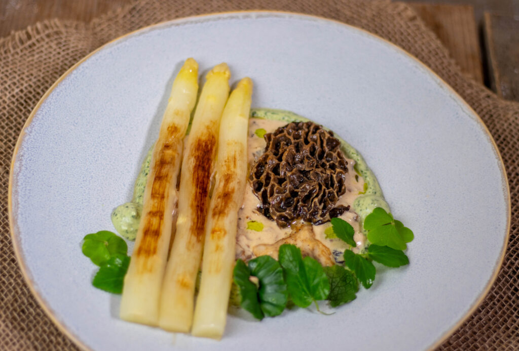 Gegrillter weißer Spargel auf Morchelsauce