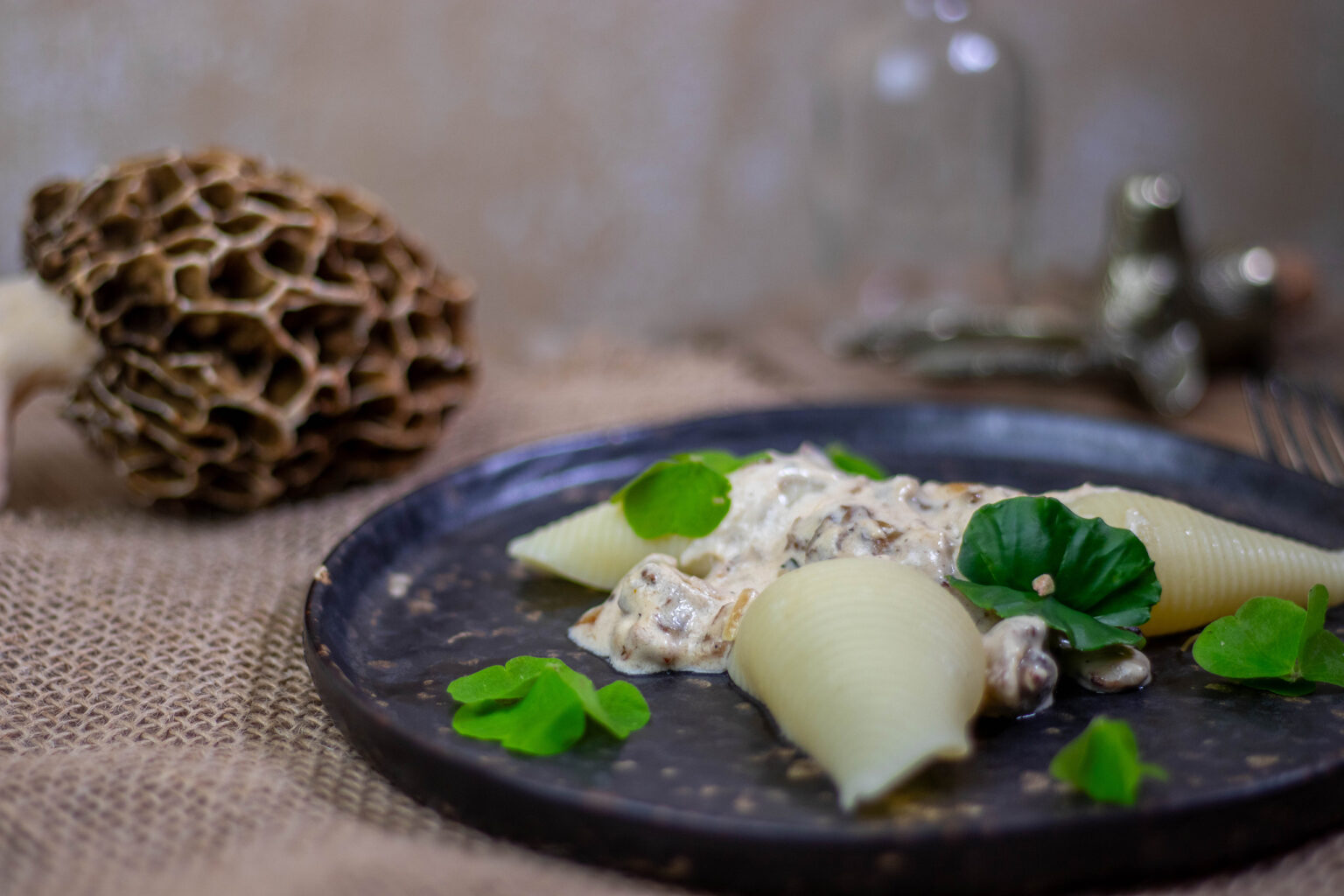 Morchelsauce - cremig, sahnig mit selbst gesammelten Morcheln - Dailyvegan