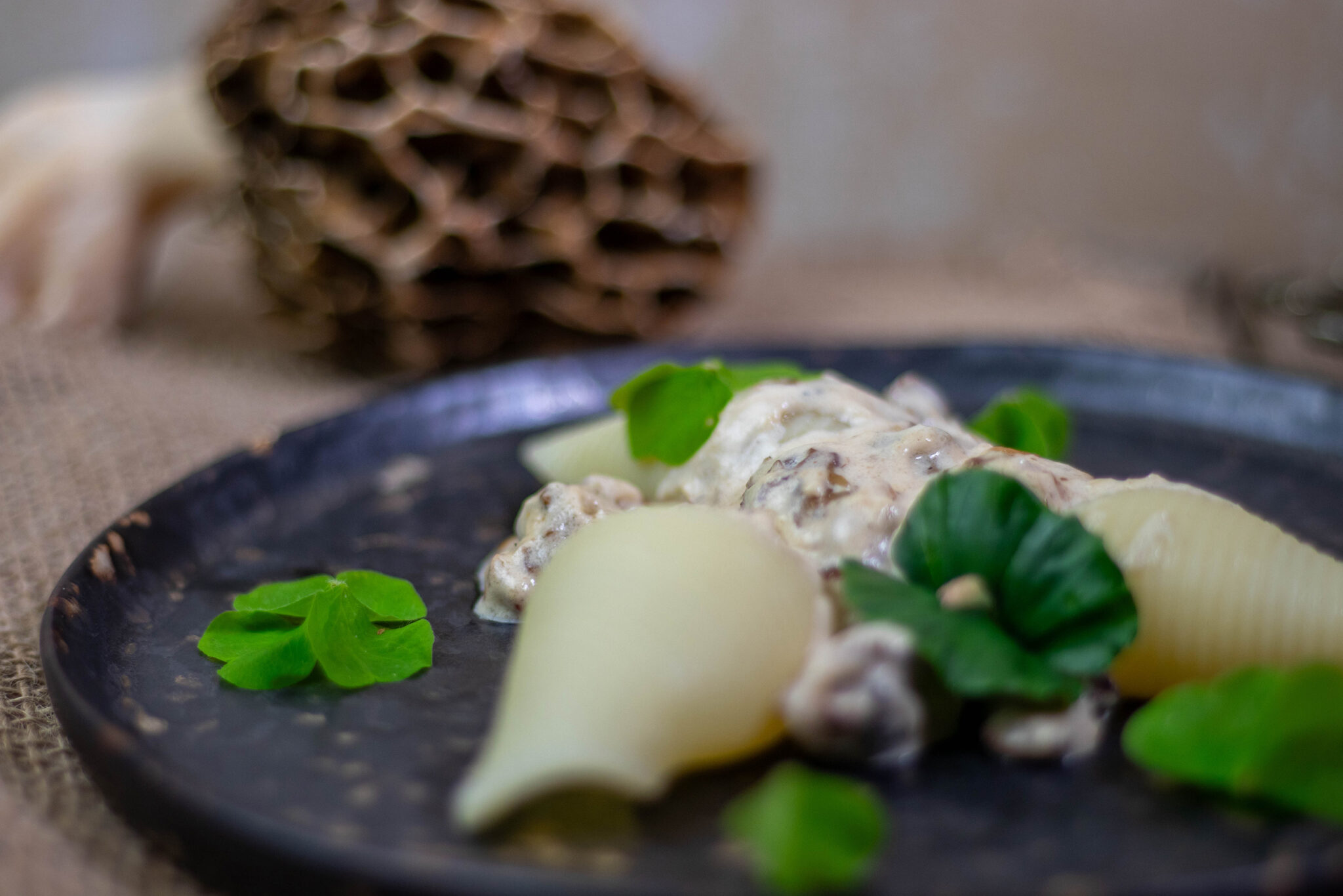 Morchelsauce - cremig, sahnig mit selbst gesammelten Morcheln - Dailyvegan