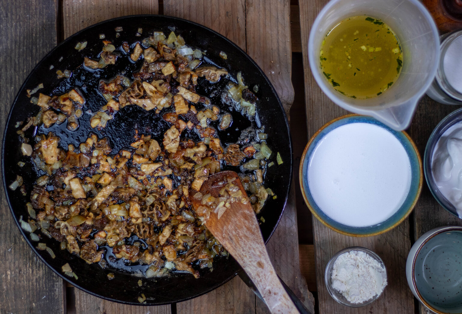 Morchelsauce - cremig, sahnig mit selbst gesammelten Morcheln - Dailyvegan