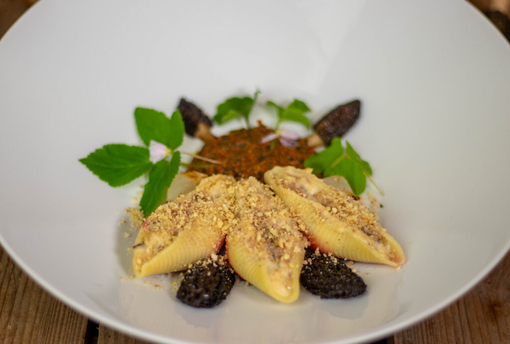 Muschelpasta gefüllt mit Morchel-Ricotta-Creme auf Gierschpesto