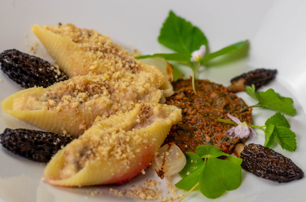 Saisonale, regionale Küche: Muschelpasta gefüllt mit Morchel-Ricotta-Creme auf Gierschpesto
