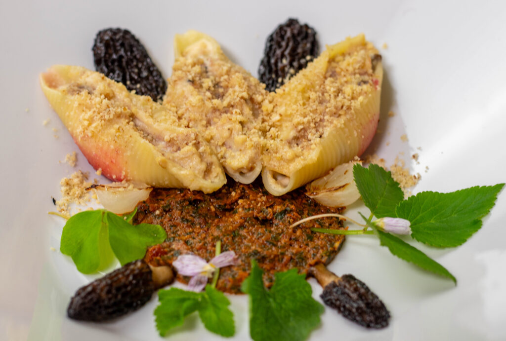 Muschelpasta gefüllt mit Morchel-Ricotta-Creme: selbstverständlich ist der Käse in diesem Rezept vegan und selbstgemacht.