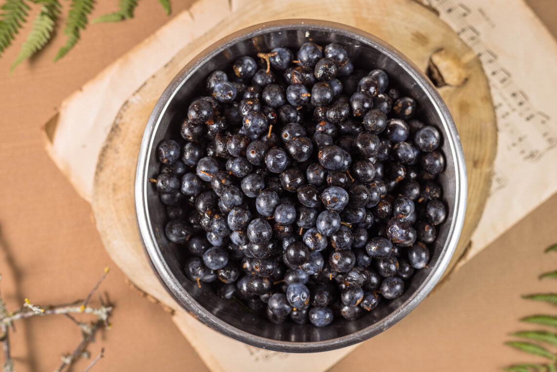 Schlehengelee - selbst gesammelt und eingekocht - Dailyvegan