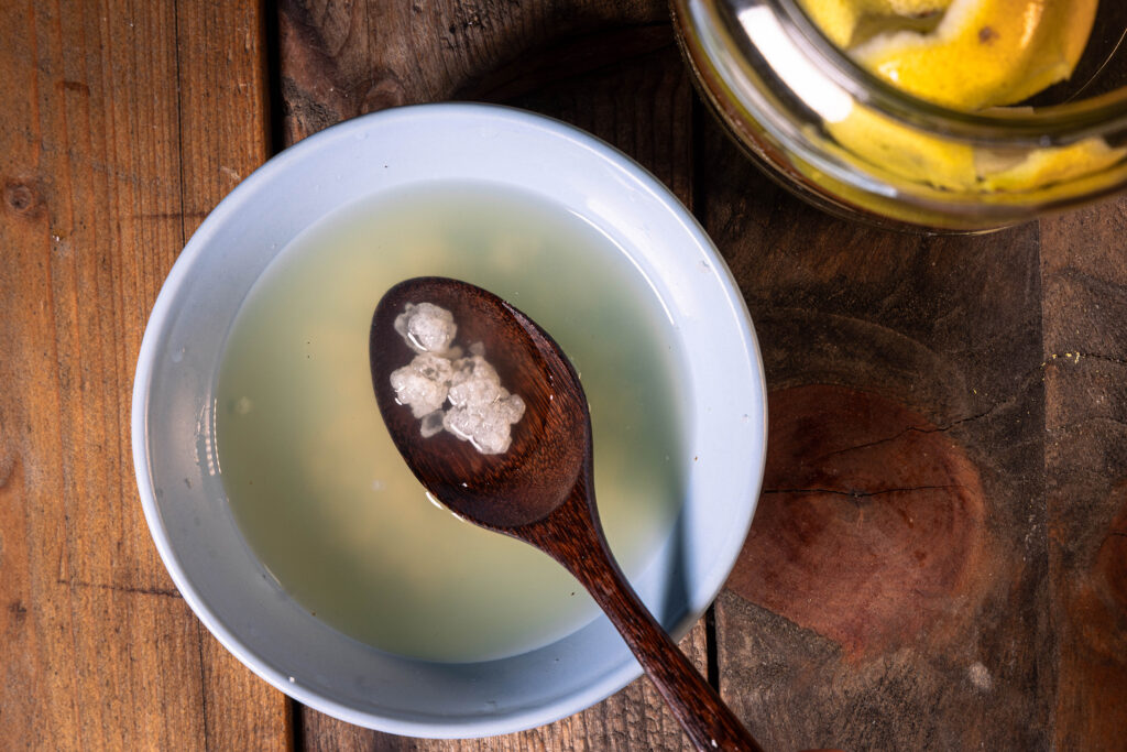 Wasserkefir in einer Schale, Wasserkefirkristalle auf einem Holzlöffel.