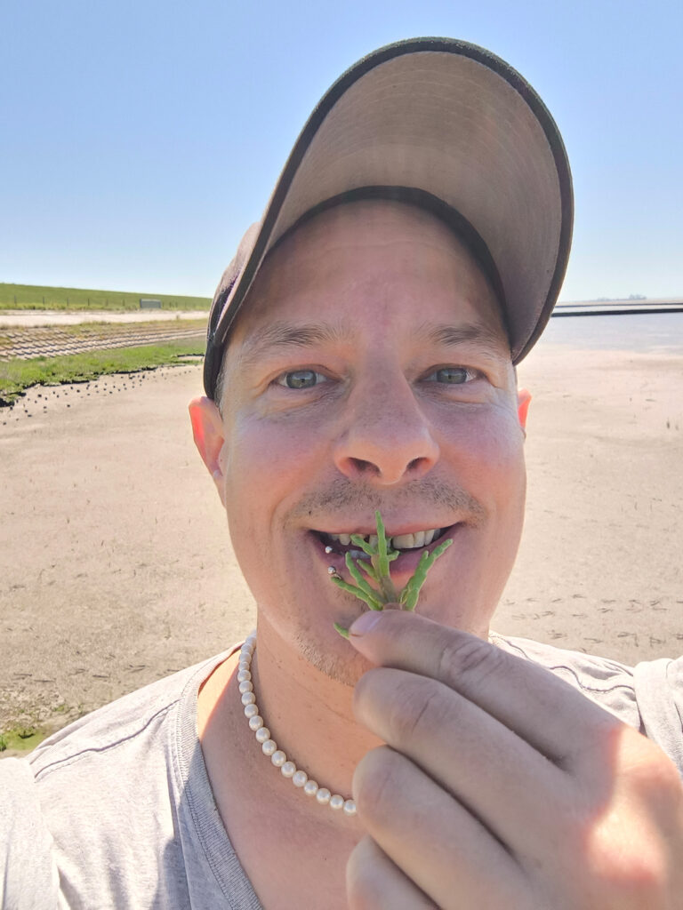 Sean Moxie isst frischen Salicorne am Nordseestrand.