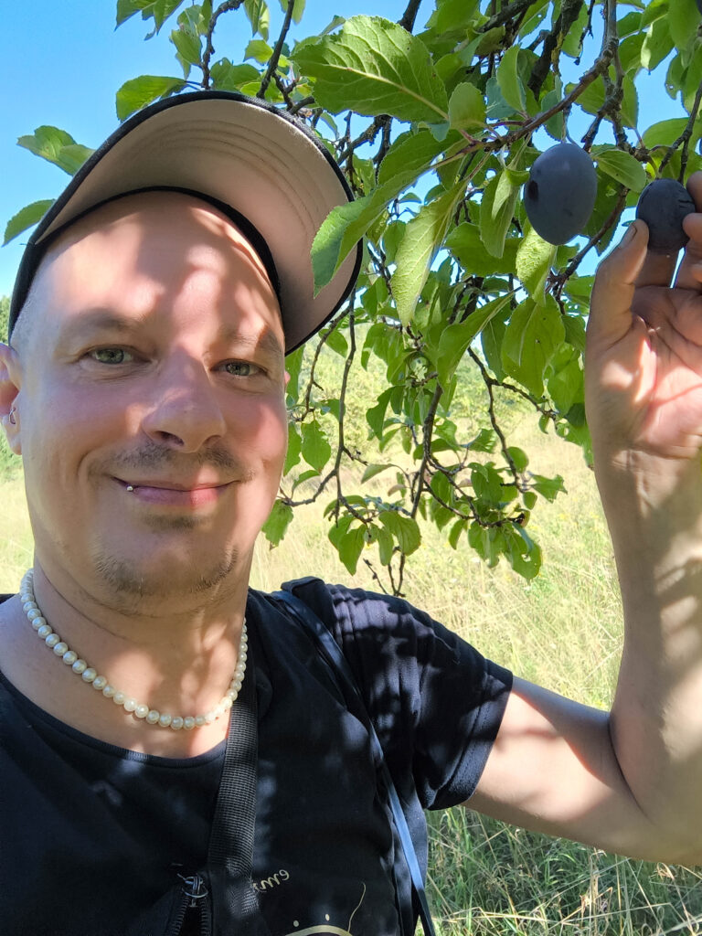 Sean Moxie bei der Zwetschenernte