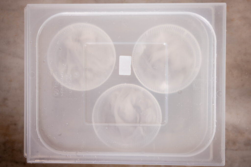 Eine Reifebox für Käse.