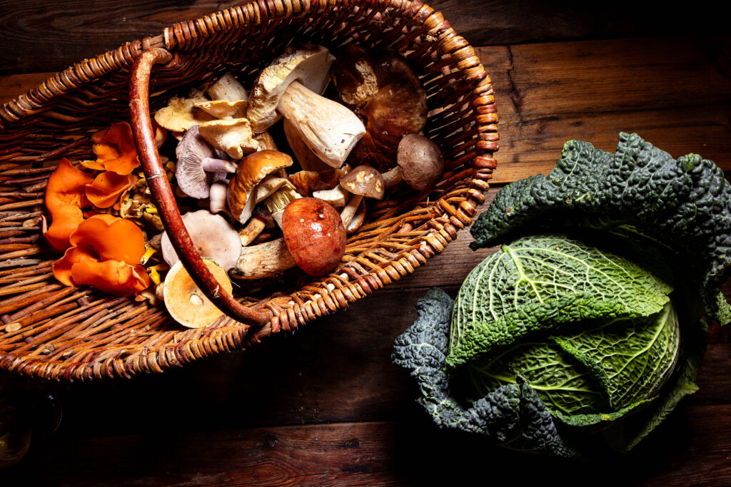Ein Korb mit verschiedenen Waldpilzen und ein Wirsingkohl.