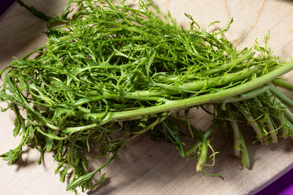 Frischer Blattsenf der Sorte 'Frizzy Joe'.