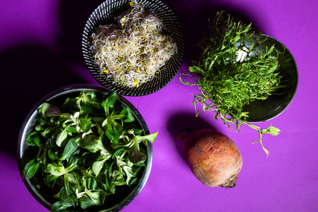 ´Alle Zutaten für den Salat.