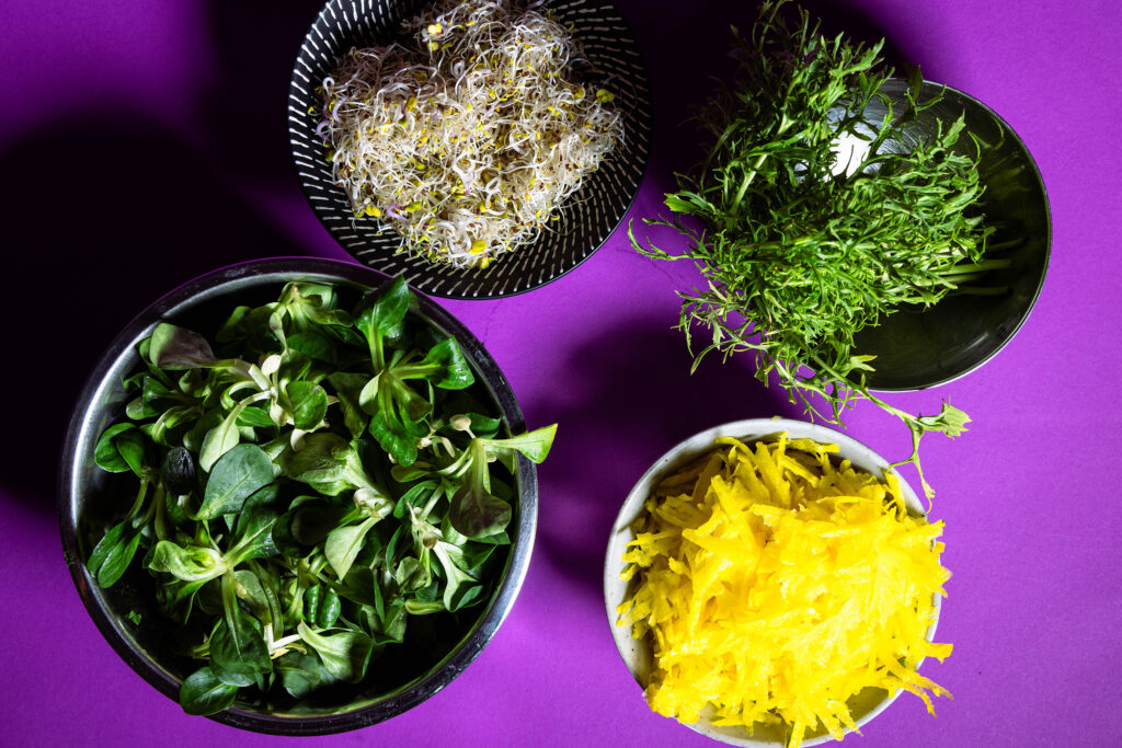 Alle Zutaten für den Salat.