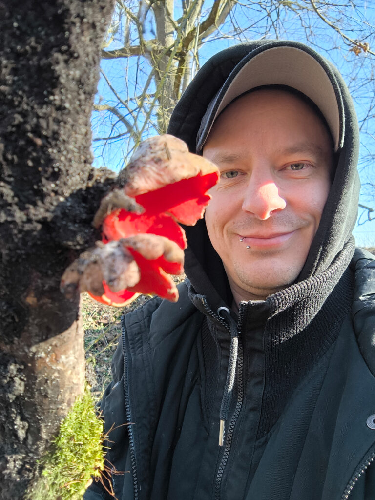 Sean Moxie (der Autor) mit Prachtbecherlingen an einem Totholz-Ast.