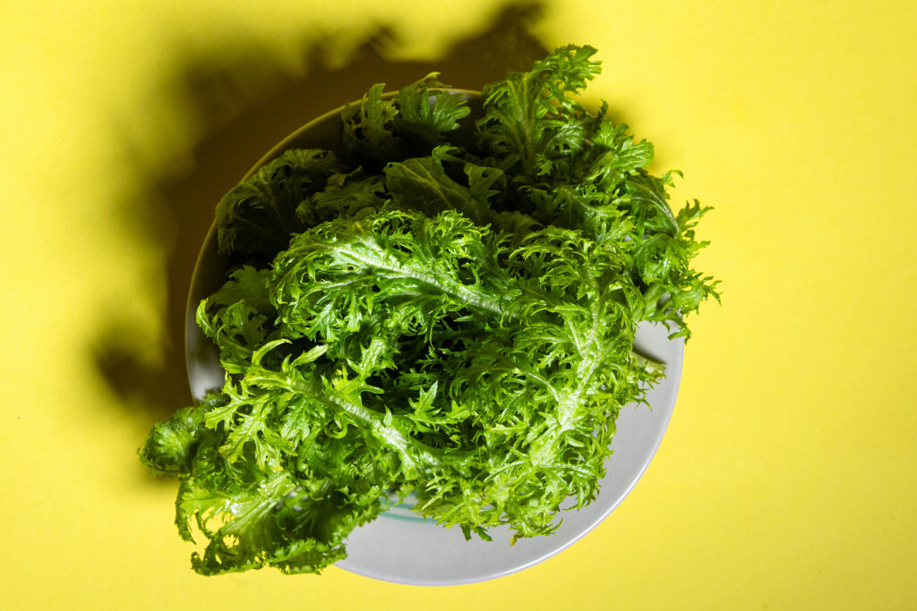 Frischer Wasabi-Senf auf einem Teller.