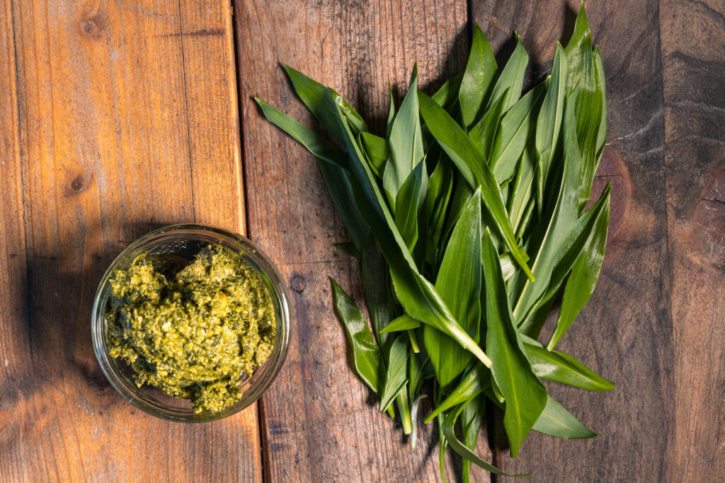 Selbstgeamchtes Bärlauchpesto und frischer Bärlauch.