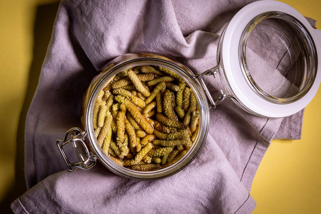Ein Glas mit frisch angesetzten Haselkätzchen-Pickles.