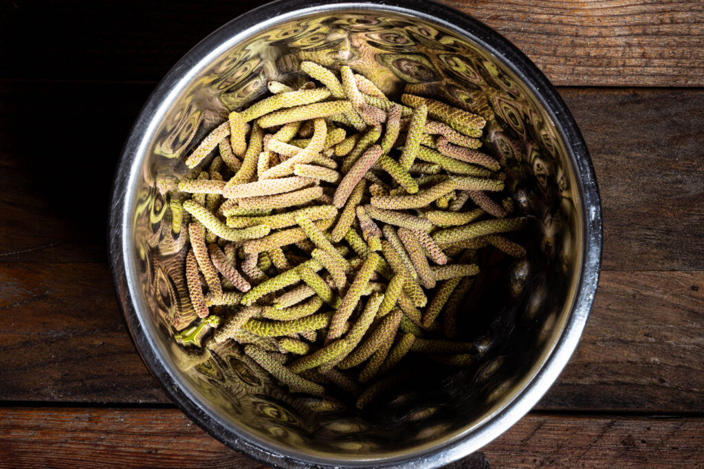 Haselkätzchen in einer Schale