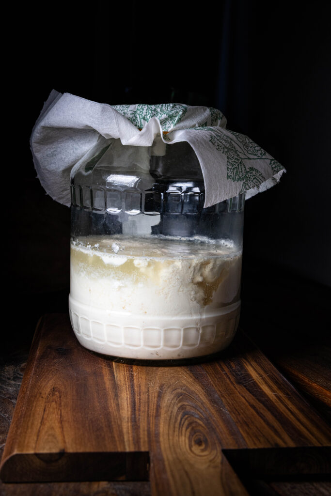 Sojakefir fermentiert in einem großen Glas.