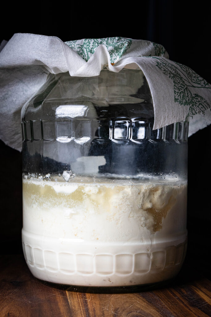 Sojakefir – veganer Kefir aus Wasserkefirkristallen - in einem Glasgefäß