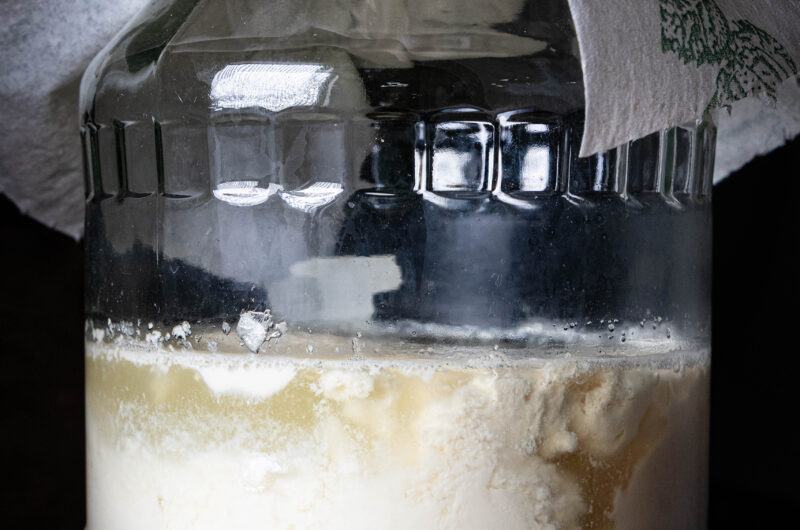 Sojakefir – veganer Kefir aus Wasserkefir