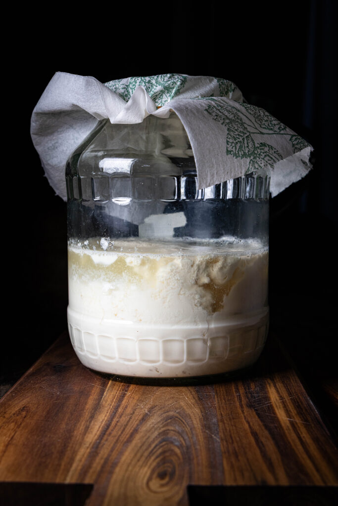 Sojakefir – veganer Kefir aus Wasserkefir. In einem Fermentiergefäß.