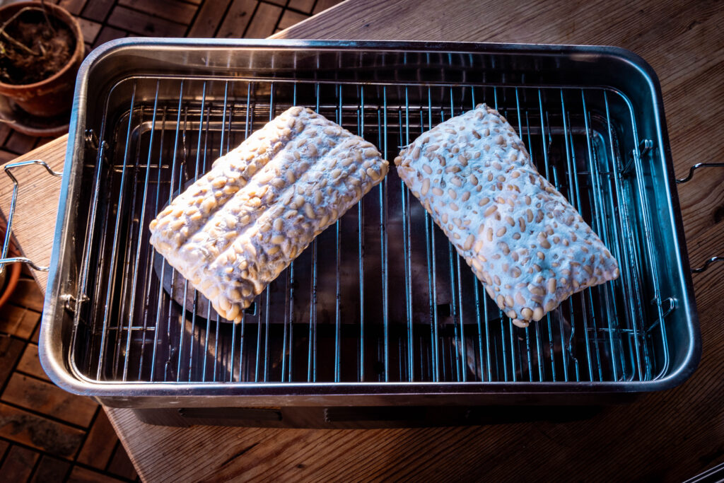 Zwei Bläcke selbstgemachter Tempeh liegen auf dem Rost eines Räucherofens.