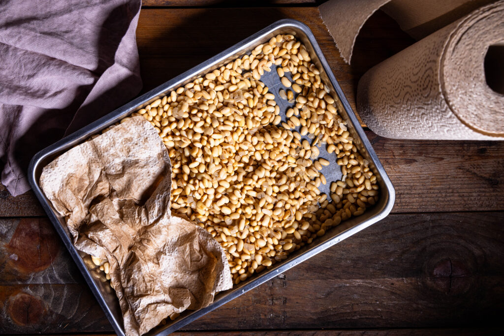 Gekochte Sojabohnen in einem Blech. Sie werden mit einem Küchentuch trocken getupft.