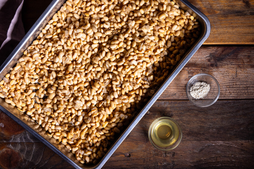 Hier alle drei Tempehzutaten: gekochte Sojabohnen, APfelessig und Tempehstarterkulturen.