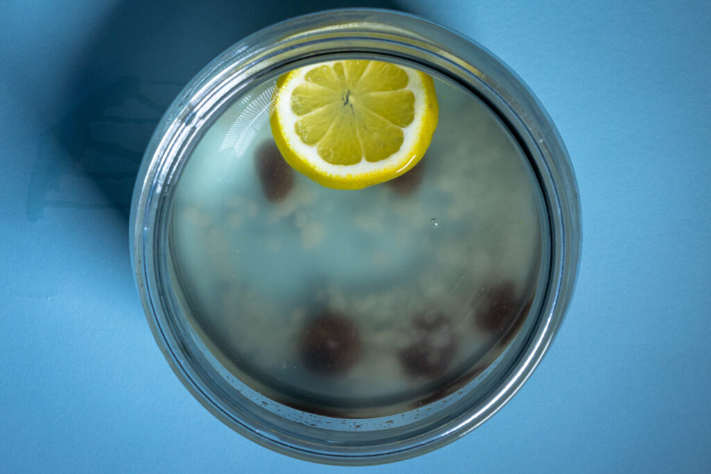 Wasserkefir, frisch angesetzt, in einem Glasgefäß.