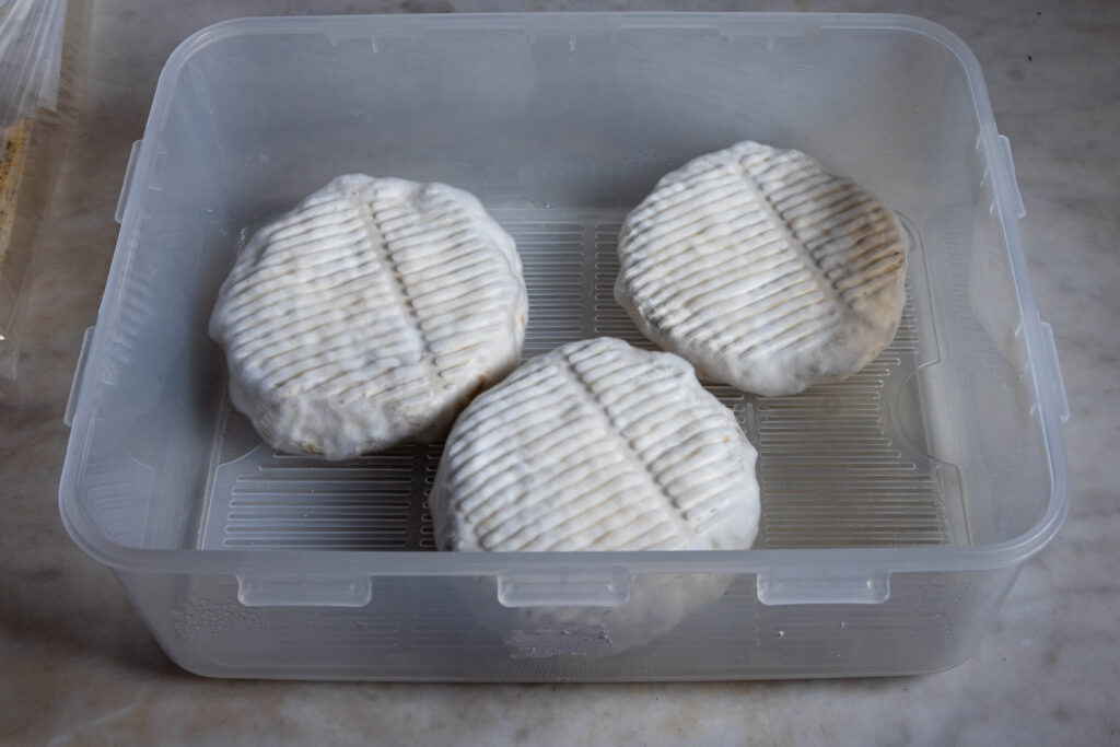 Mit Bärlauch durchzogener veganer Camembert in einer Reifebox, mit sehr jungem Weißschimmel überzogen.