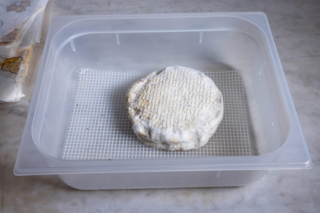 Ein veganer Brie mit Lauchasche in einer Reifebox auf einer Käsematte.